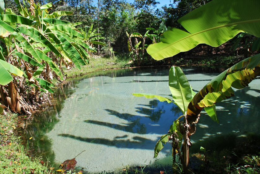  Jalapão – Tocantins