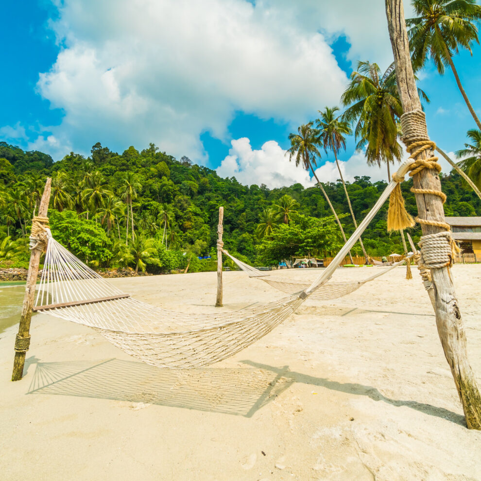 Redes amarradas em árvores à beira da praia