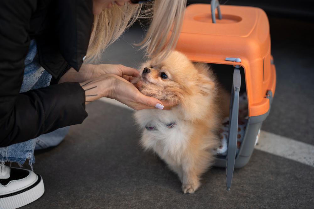 dona com seu pet preparando-se para viajar